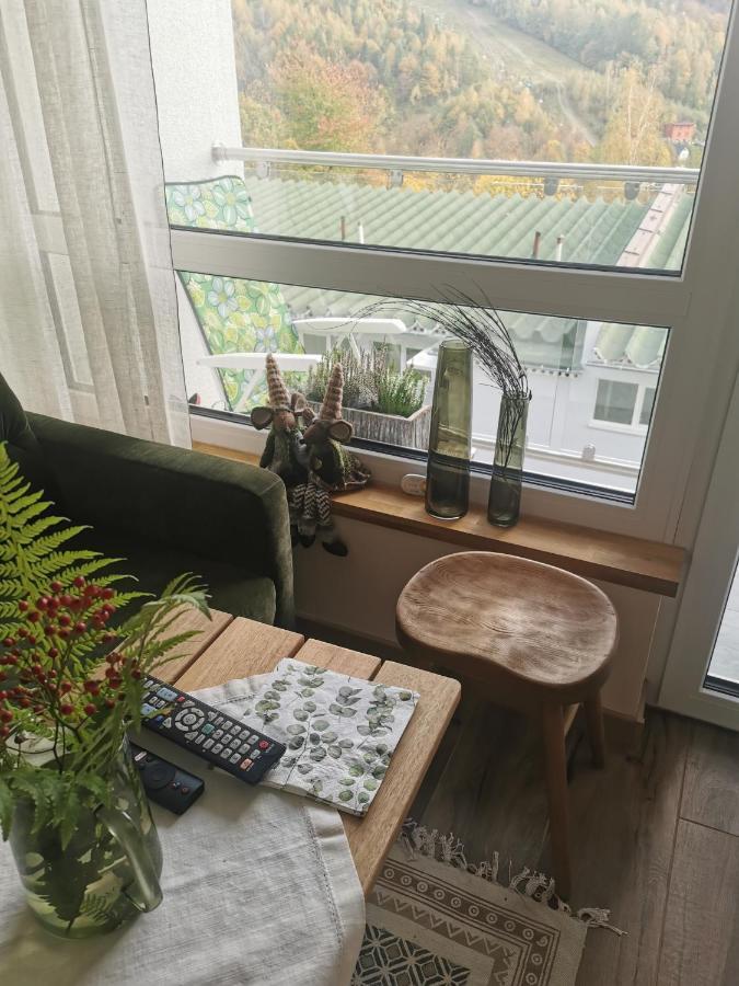 Hearth Hill View Apartment Ustron Kültér fotó
