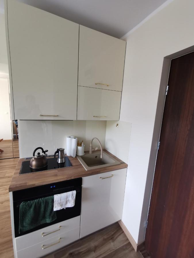 Hearth Hill View Apartment Ustron Kültér fotó