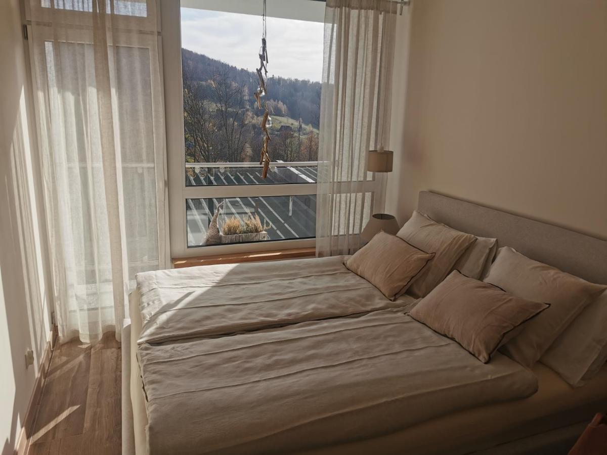 Hearth Hill View Apartment Ustron Kültér fotó