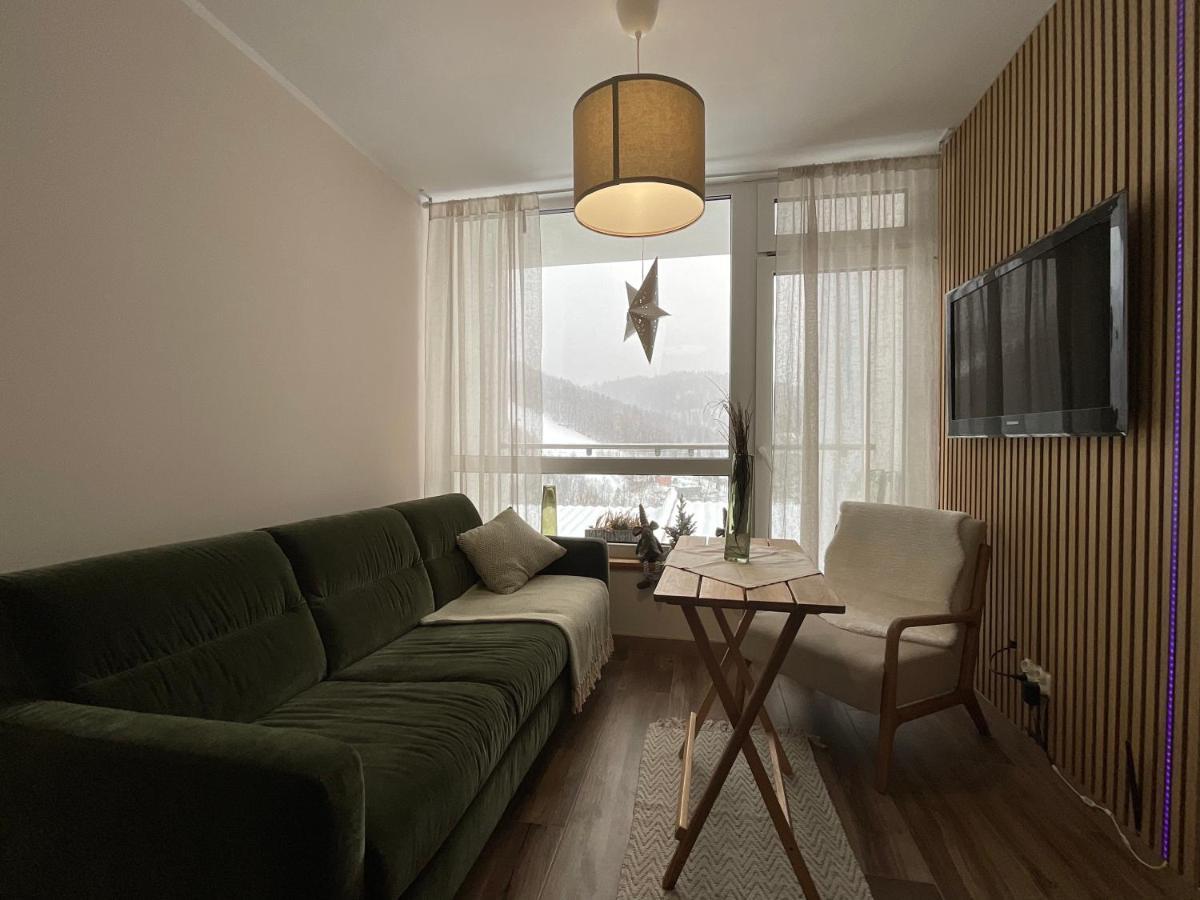 Hearth Hill View Apartment Ustron Kültér fotó